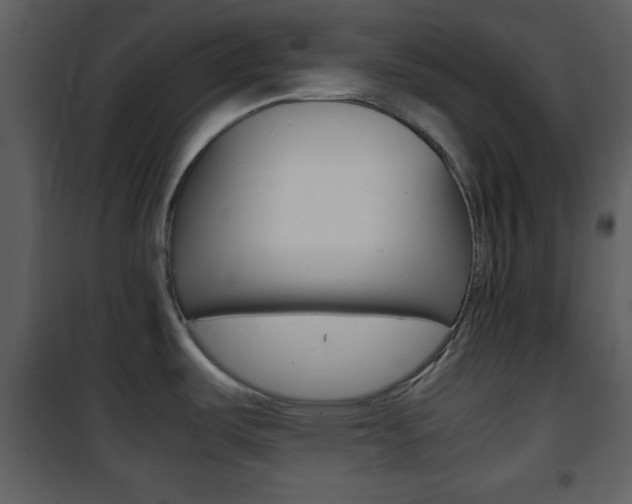 X0000101961487200807180650