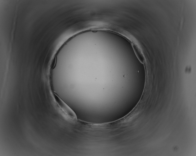 X0000101961488200807180650