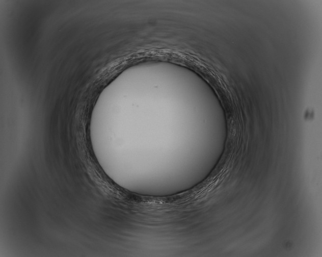 X0000101961489200807180650