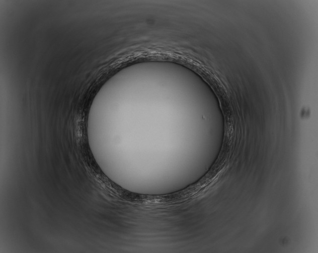 X0000101961490200807180650