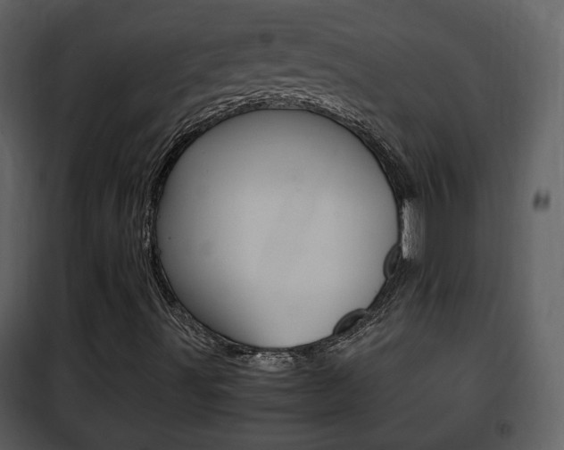 X0000101961491200807180650