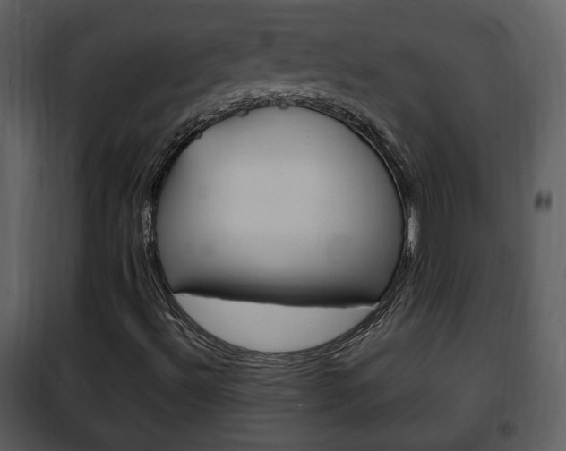 X0000101961492200807180650