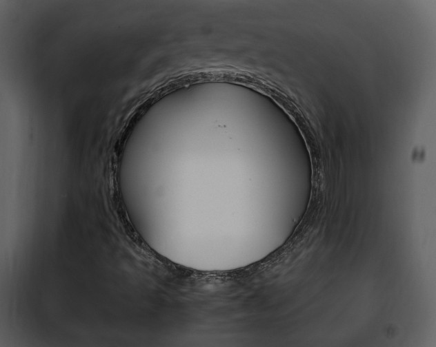 X0000101961493200807180650