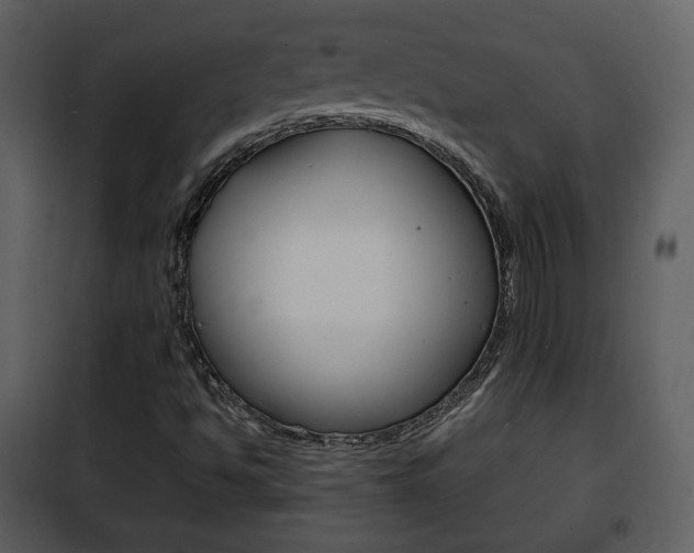 X0000101961494200807180650