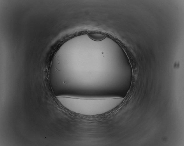 X0000101961495200807180650