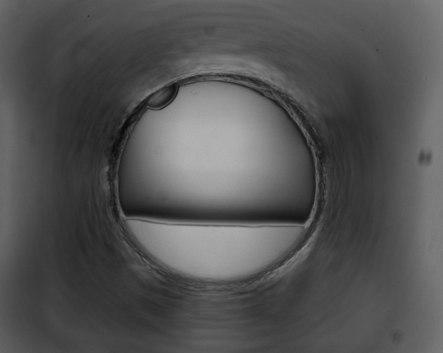 X0000101961497200807180650