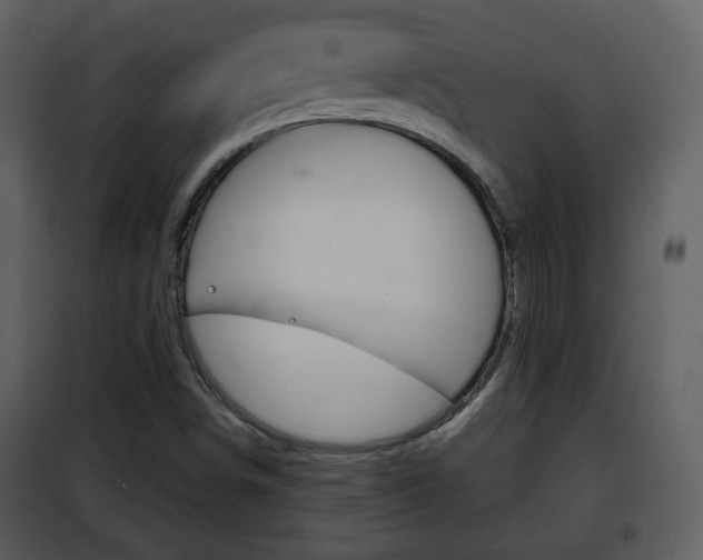 X0000101961498200807180650