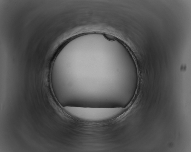 X0000101961499200807180650