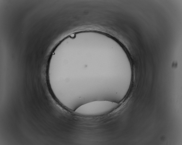 X0000101961500200807180650