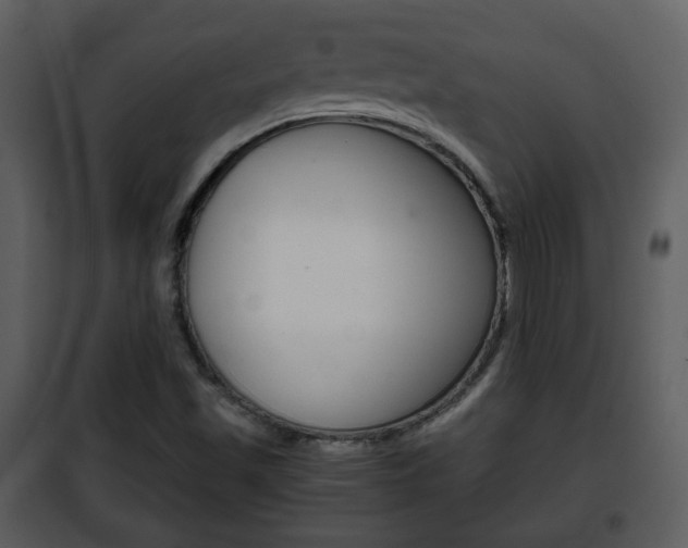 X0000101961501200807180650