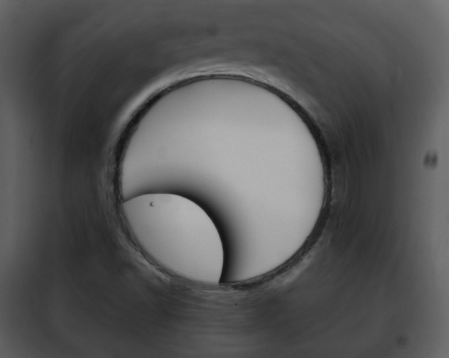 X0000101961502200807180650