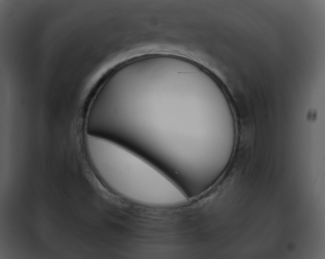 X0000101961503200807180650