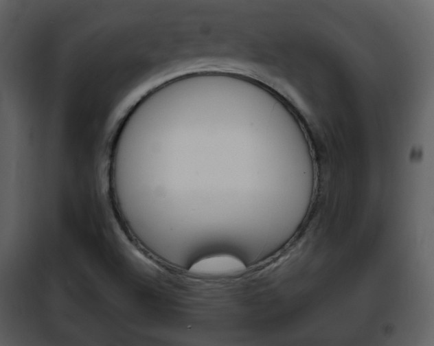 X0000101961504200807180650
