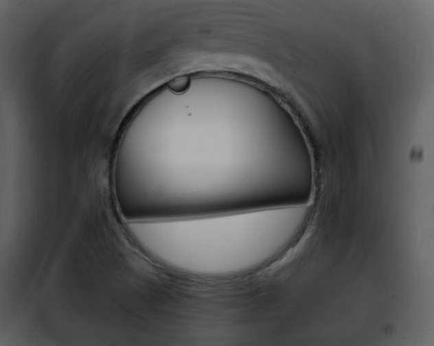 X0000101961505200807180650