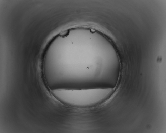X0000101961506200807180650