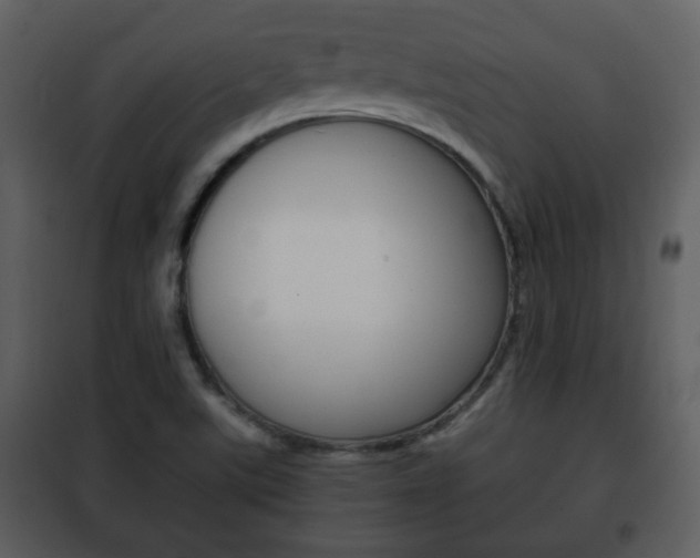 X0000101961507200807180650