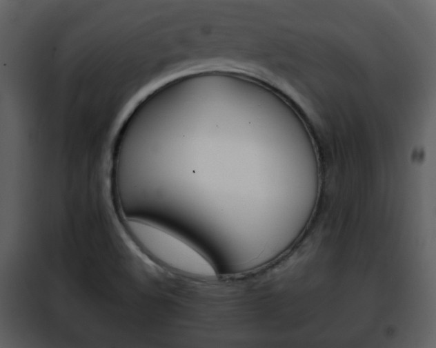 X0000101961508200807180650