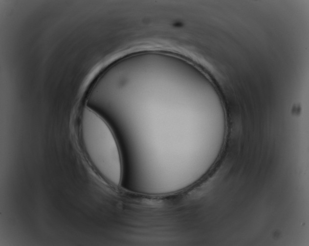 X0000101961509200807180650