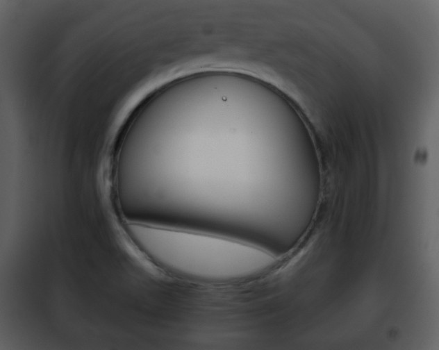X0000101961511200807180650