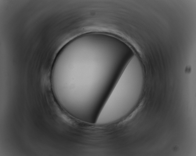 X0000101961513200807180650