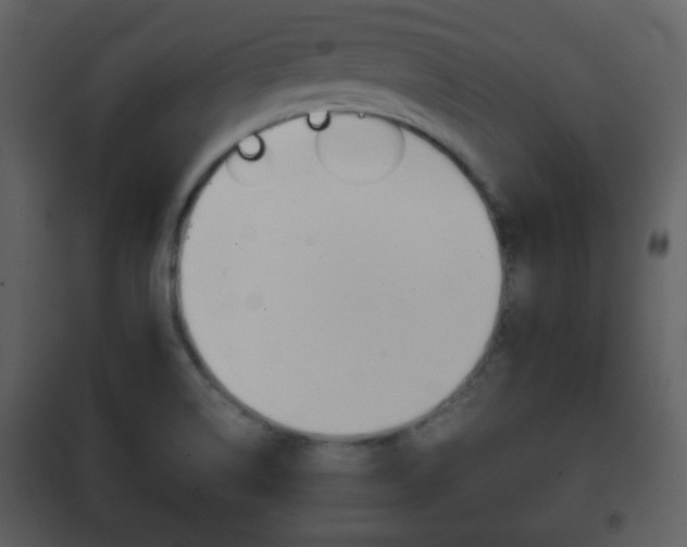 X0000101961514200807180650