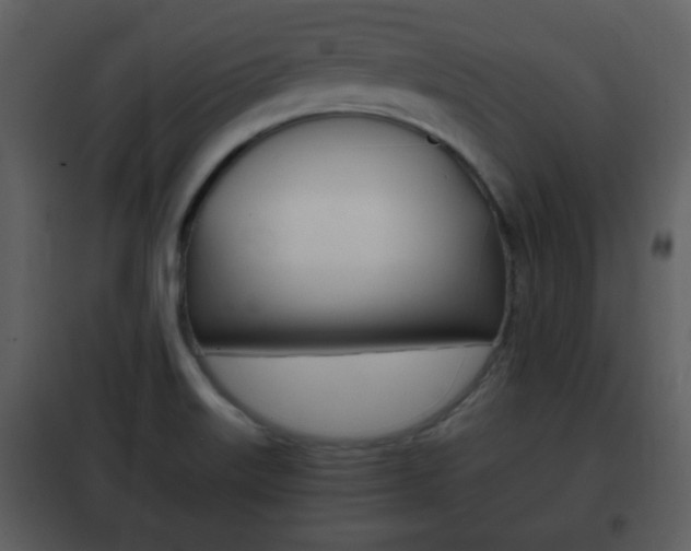 X0000101961515200807180650