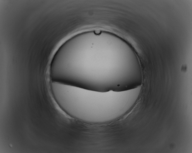 X0000101961516200807180650