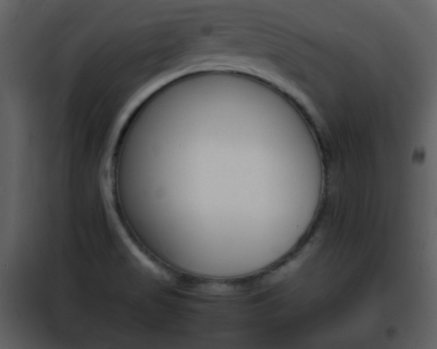 X0000101961517200807180650