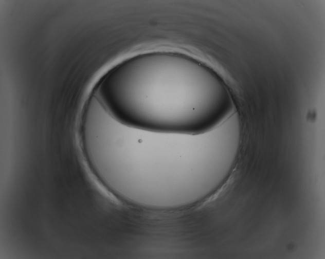 X0000101961518200807180650