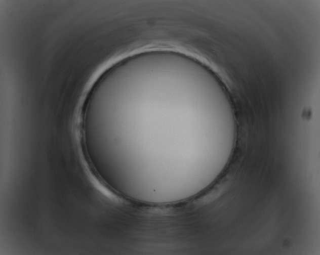 X0000101961519200807180650