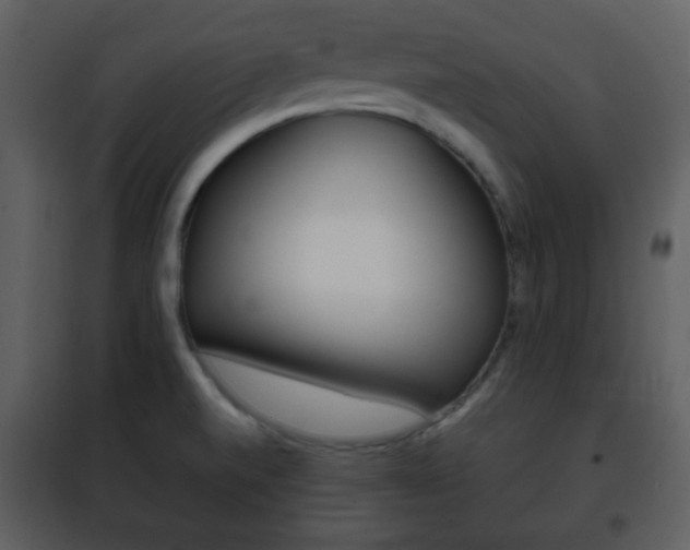 X0000101961520200807180650