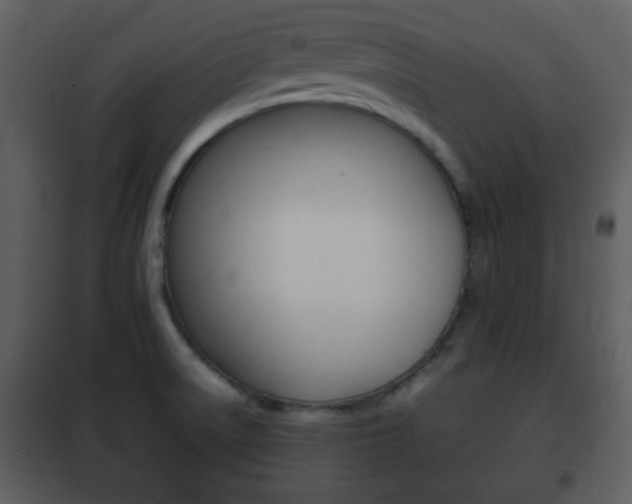 X0000101961522200807180650