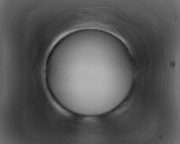 X0000101961523200807180650