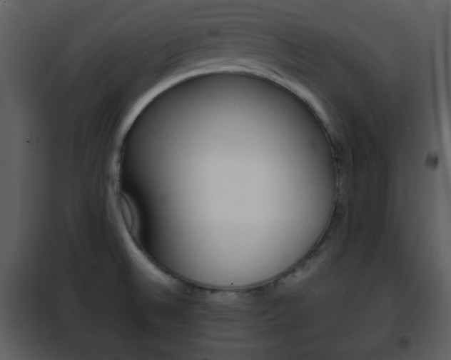 X0000101961524200807180650