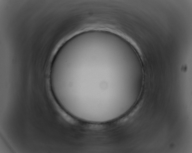 X0000101961525200807180650