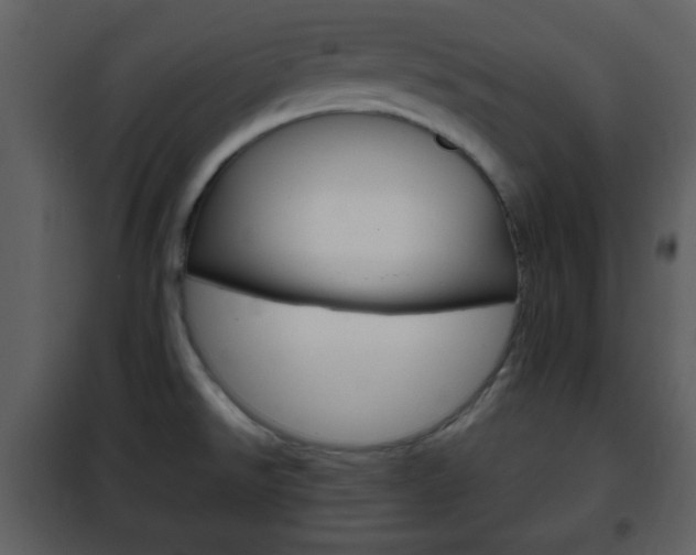 X0000101961526200807180650