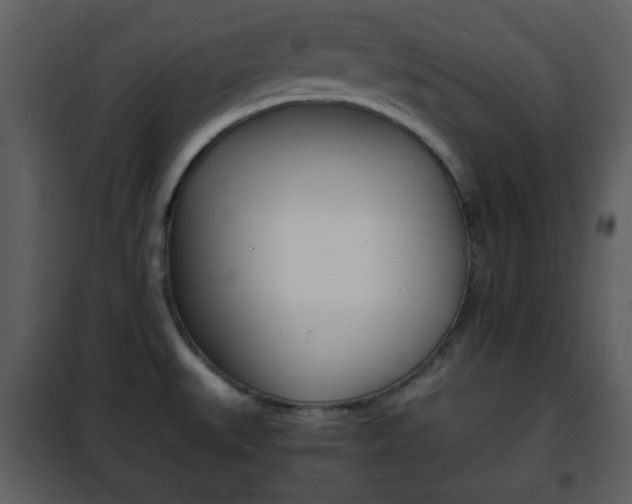 X0000101961527200807180650