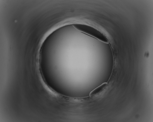 X0000101961528200807180650