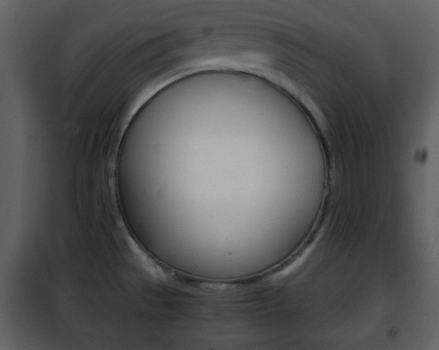 X0000101961529200807180650