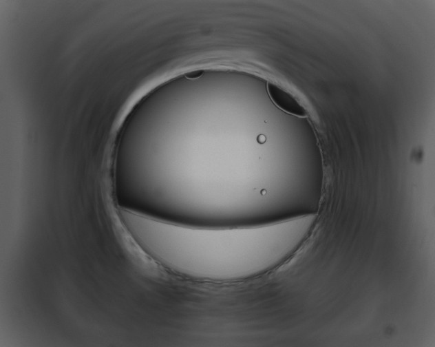 X0000101961530200807180650
