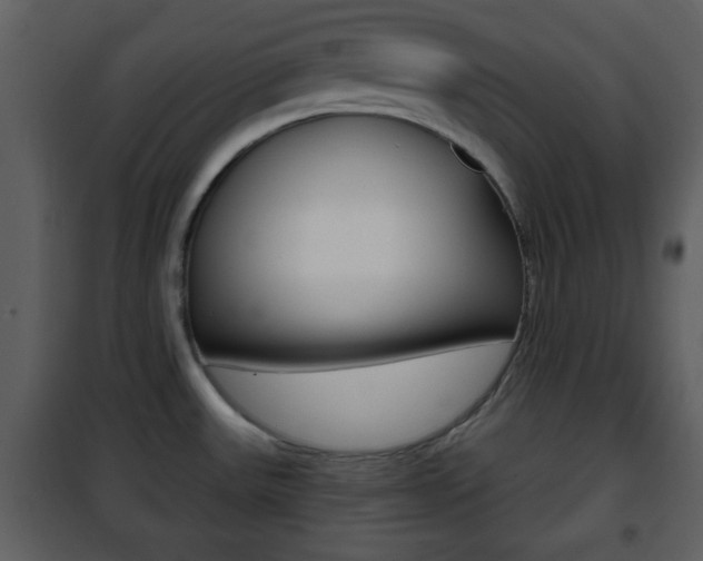 X0000101961531200807180650