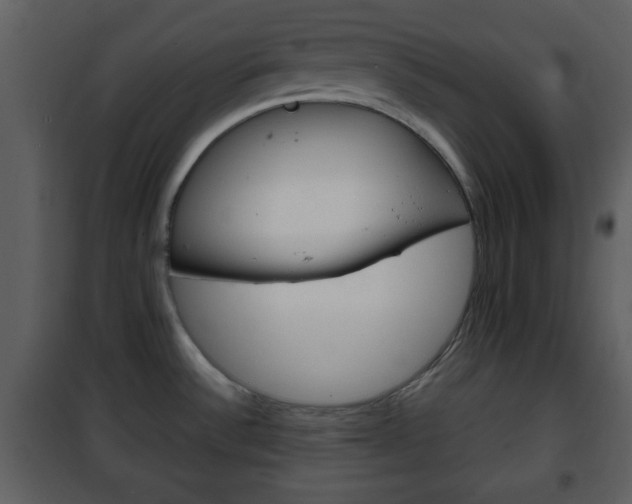 X0000101961532200807180650