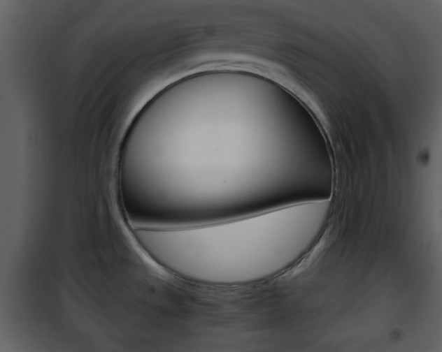 X0000101961533200807180650