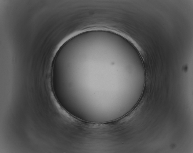 X0000101961534200807180650