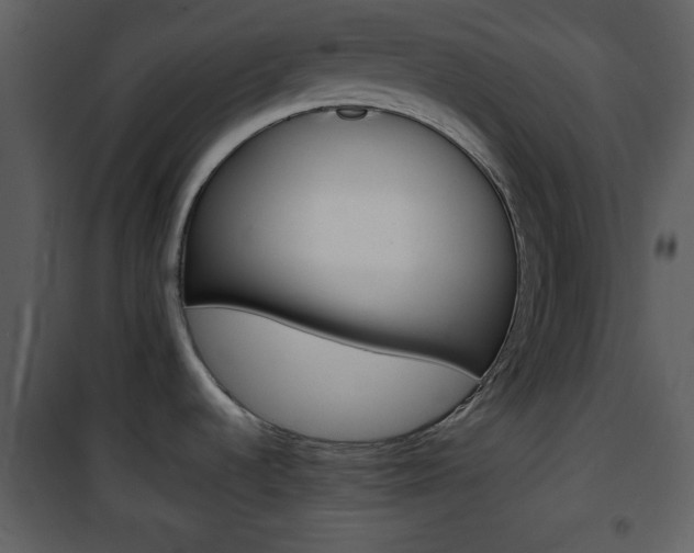 X0000101961536200807180650