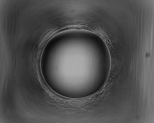 X0000101960001200807181051