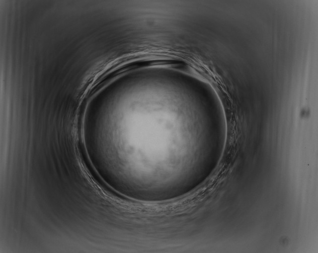 X0000101960002200807181051