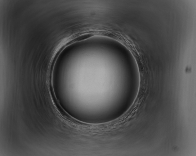 X0000101960003200807181051