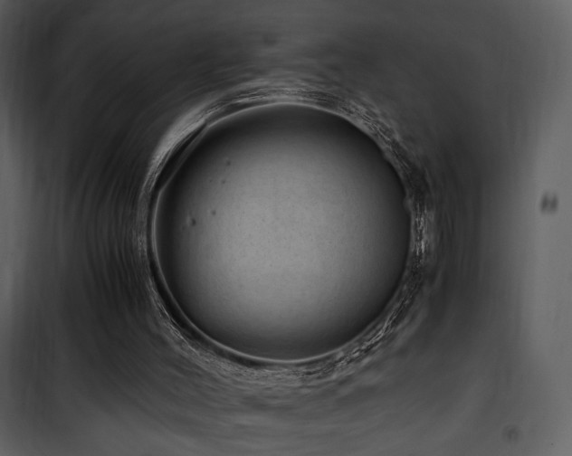 X0000101960004200807181051