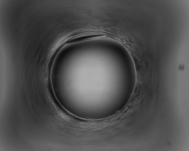 X0000101960005200807181051